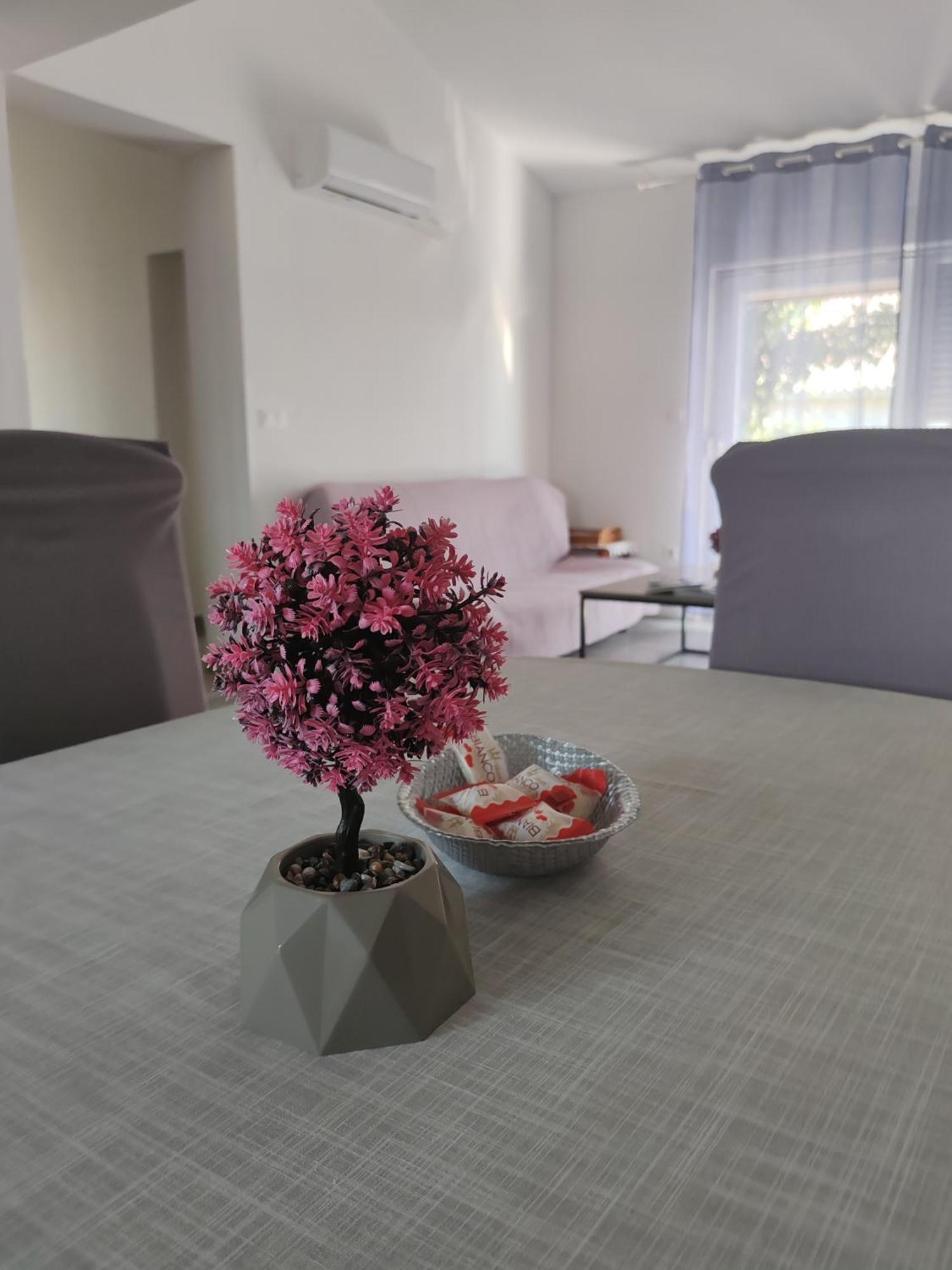 Apartman Olic Ражанац Екстер'єр фото